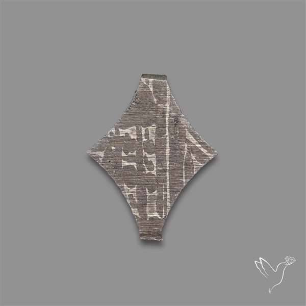 Rare Gibeon Meteorite Fancy Shaped