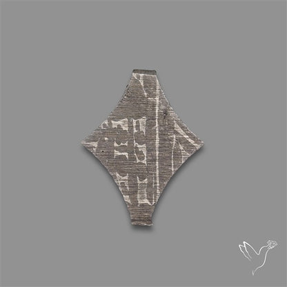 Rare Gibeon Meteorite Fancy Shaped