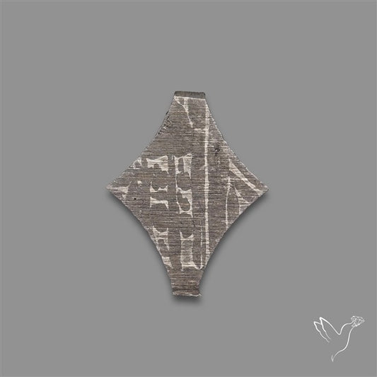 Rare Gibeon Meteorite Fancy Shaped