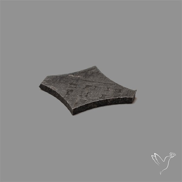 Rare Gibeon Meteorite Fancy Shaped