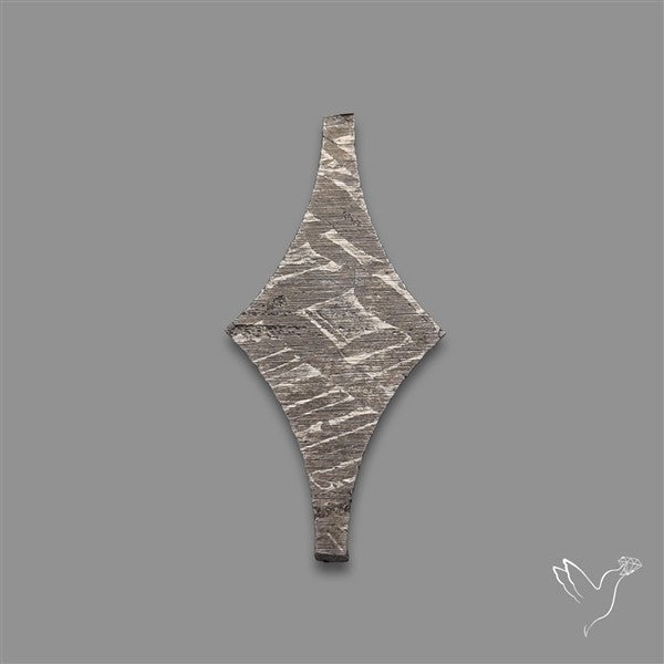 Rare Gibeon Meteorite Fancy Shaped