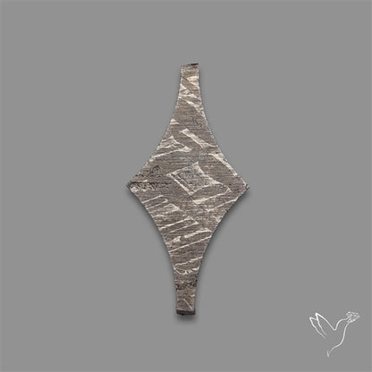 Rare Gibeon Meteorite Fancy Shaped