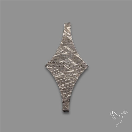 Rare Gibeon Meteorite Fancy Shaped