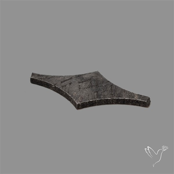 Rare Gibeon Meteorite Fancy Shaped