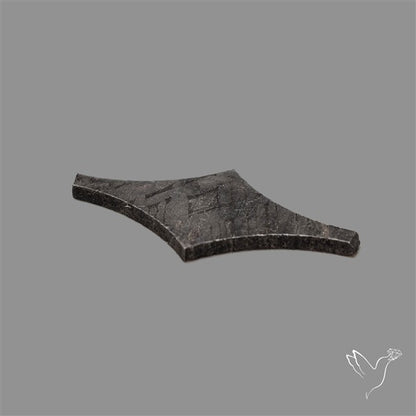Rare Gibeon Meteorite Fancy Shaped