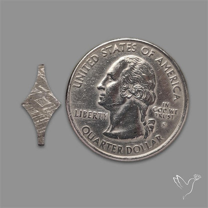 Rare Gibeon Meteorite Fancy Shaped