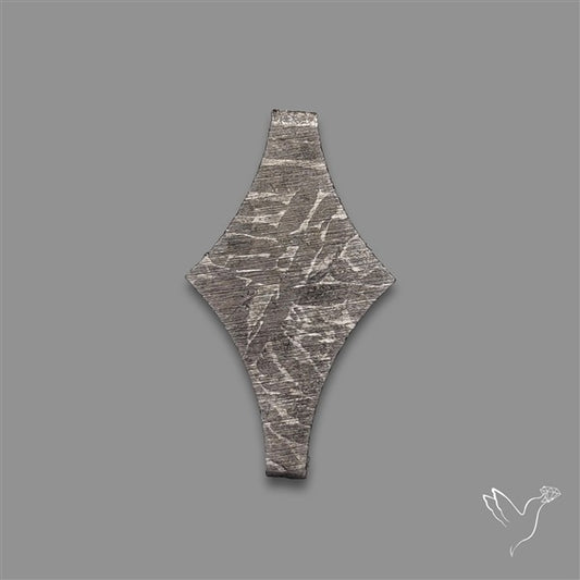 Rare Gibeon Meteorite Fancy Shaped