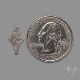 Rare Gibeon Meteorite Fancy Shaped