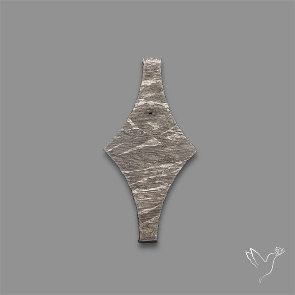 Rare Gibeon Meteorite Fancy Shaped