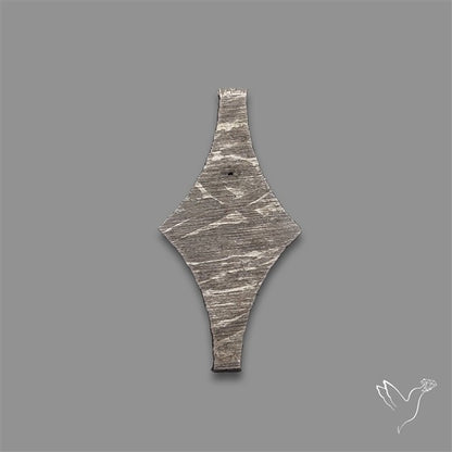 Rare Gibeon Meteorite Fancy Shaped