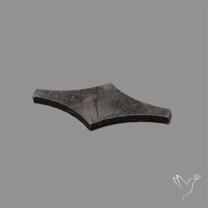 Rare Gibeon Meteorite Fancy Shaped