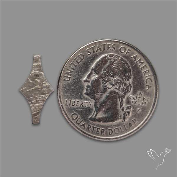 Rare Gibeon Meteorite Fancy Shaped