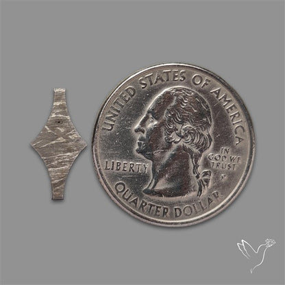 Rare Gibeon Meteorite Fancy Shaped