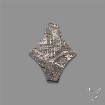 Rare Gibeon Meteorite Fancy Shaped