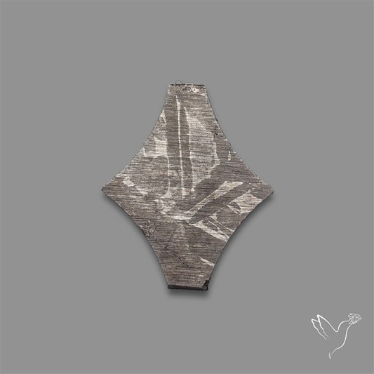 Rare Gibeon Meteorite Fancy Shaped