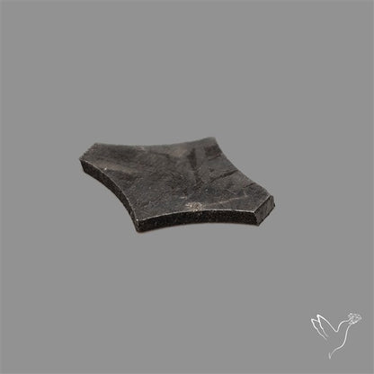 Rare Gibeon Meteorite Fancy Shaped