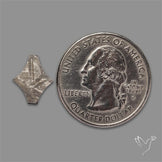 Rare Gibeon Meteorite Fancy Shaped