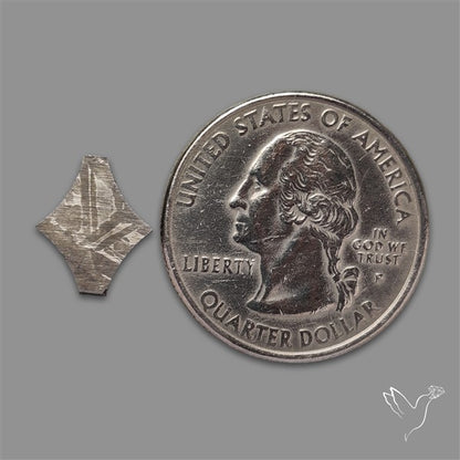 Rare Gibeon Meteorite Fancy Shaped