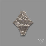 Rare Gibeon Meteorite Fancy Shaped