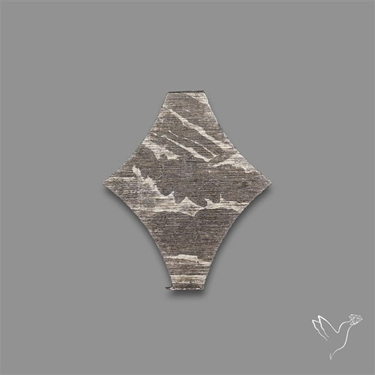 Rare Gibeon Meteorite Fancy Shaped