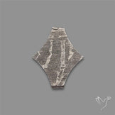 Rare Gibeon Meteorite Fancy Shaped