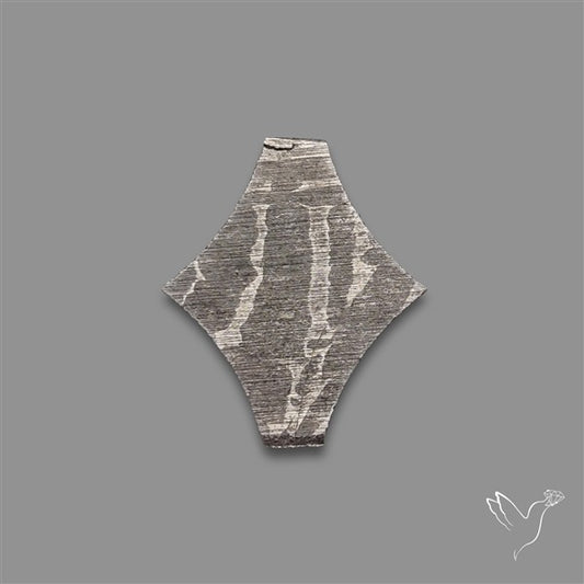 Rare Gibeon Meteorite Fancy Shaped