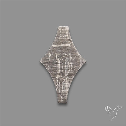 Rare Gibeon Meteorite Fancy Shaped