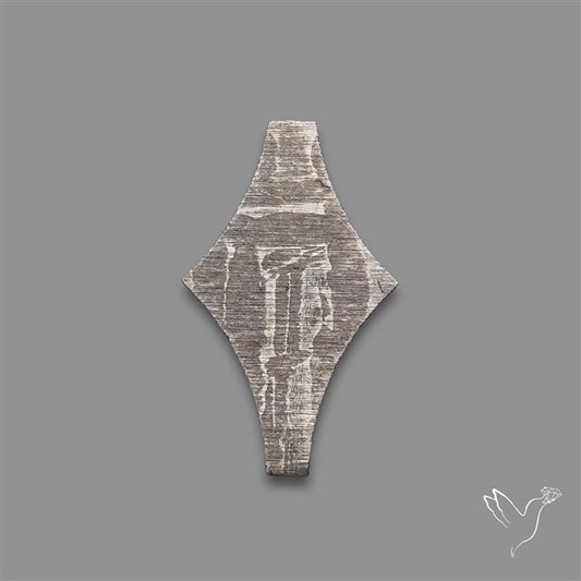 Rare Gibeon Meteorite Fancy Shaped