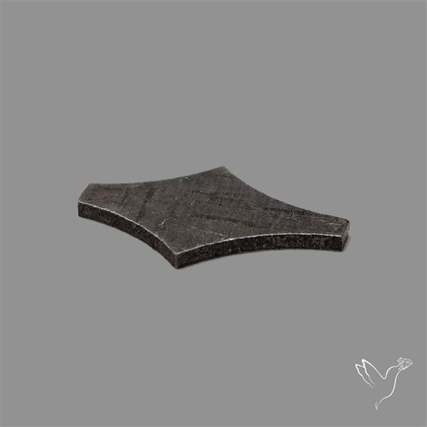 Rare Gibeon Meteorite Fancy Shaped