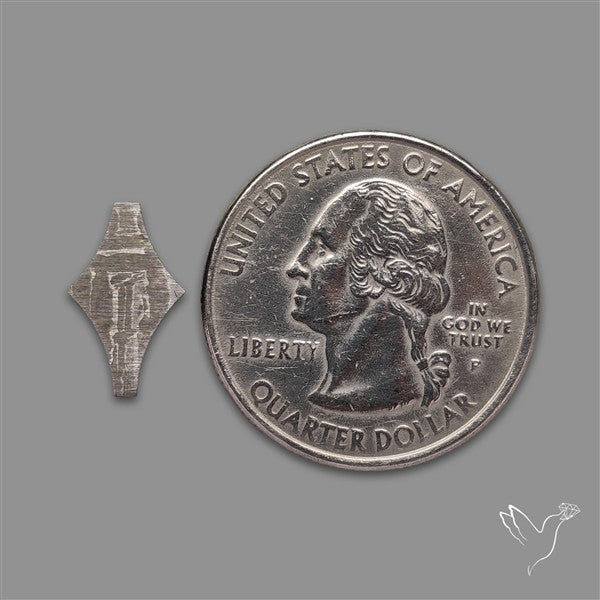 Rare Gibeon Meteorite Fancy Shaped