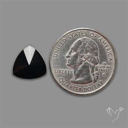Radian Cut Black Spinel