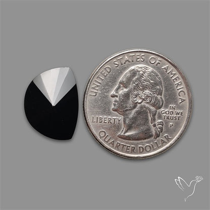 Radian Cut Black Spinel