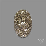 Cubic Pyrite Druzy