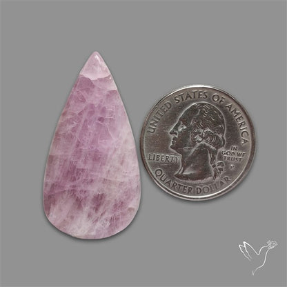 Kunzite Cabochon