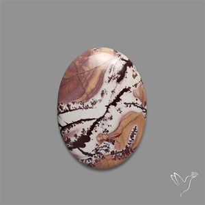 Sonoran Dendritic Rhyolite Cabochon