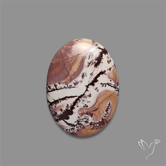 Sonoran Dendritic Rhyolite Cabochon