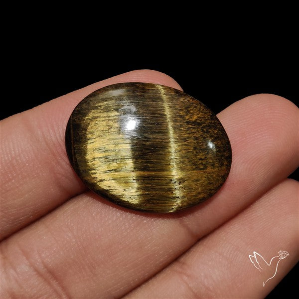 Mara Mamba Tiger Eye Cabochon
