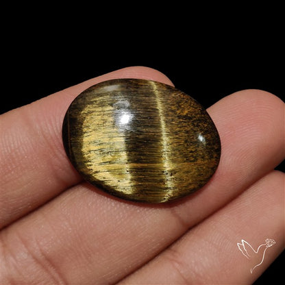 Mara Mamba Tiger Eye Cabochon