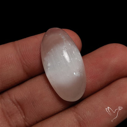 Selenite Cats Eye Cabochon