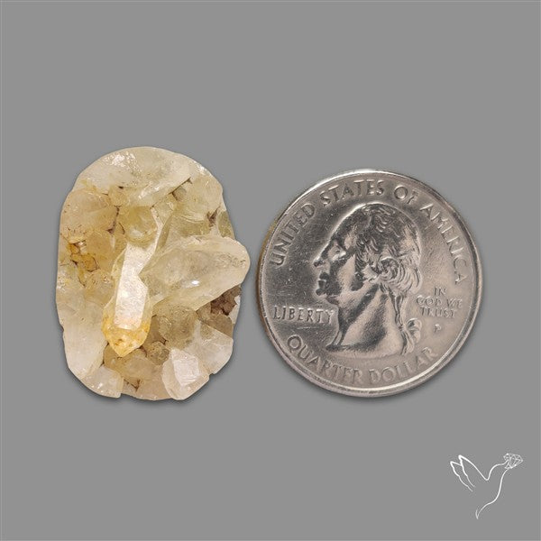 Himalayan Quartz Cluster Druzy