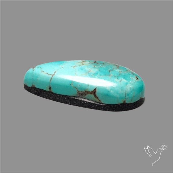 Kingman Turquoise Cabochon (Backed)