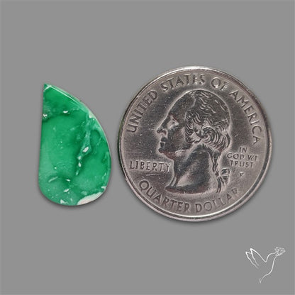 Australian Variscite Cabochon