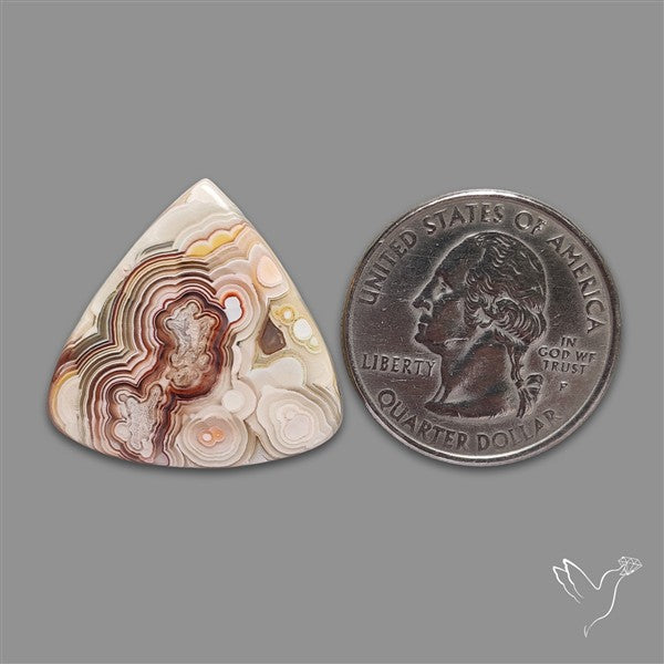 Crazylace Agate Cabochon