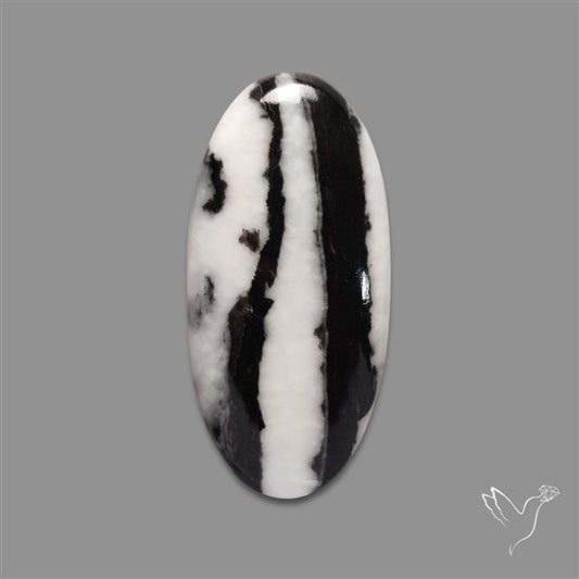 White Buffalo Turquoise Cabochon