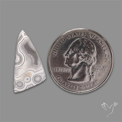 Crazylace Agate Cabochon