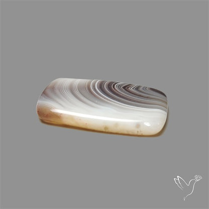 Botswana Agate Cabochon