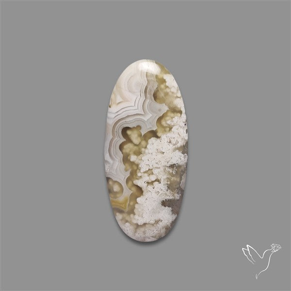 Plume Crazylace Agate Cabochon