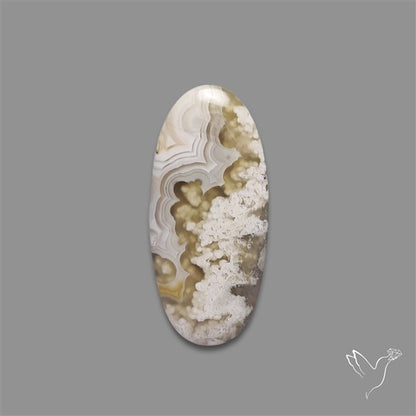 Plume Crazylace Agate Cabochon