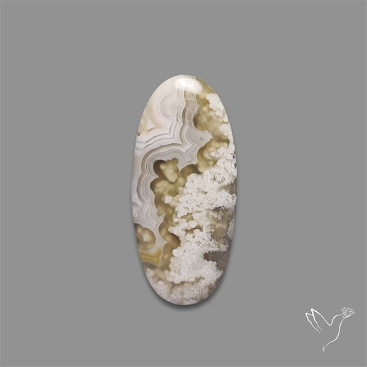 Plume Crazylace Agate Cabochon
