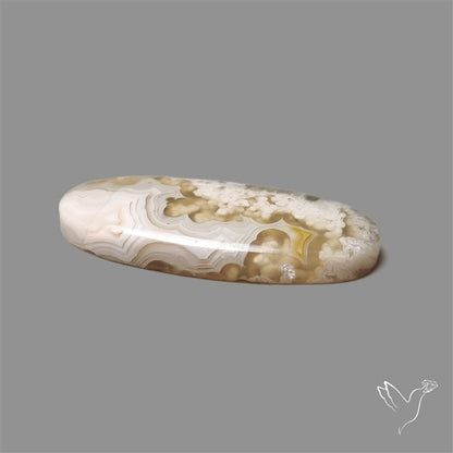 Plume Crazylace Agate Cabochon
